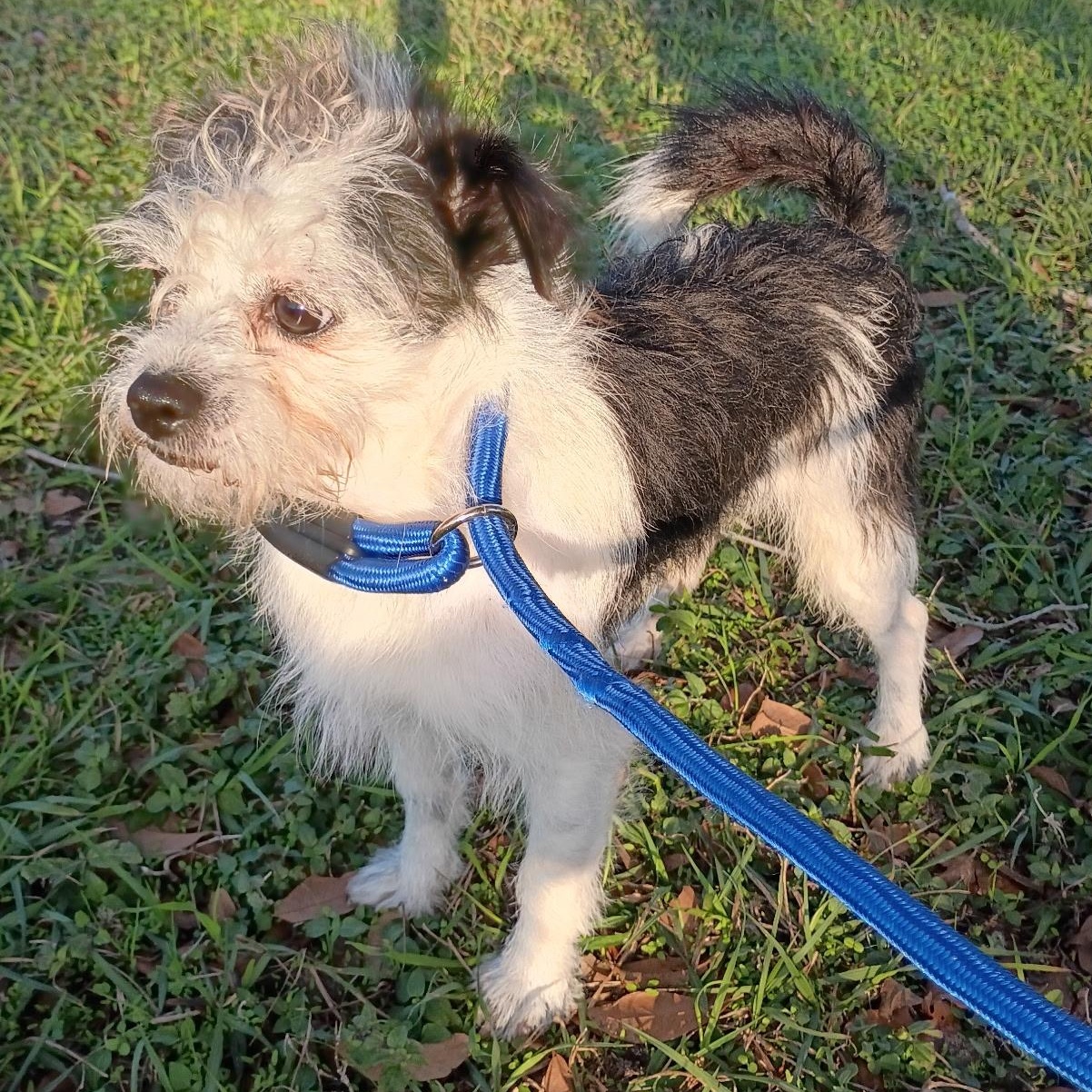 Snowden Warning: Cuteness Overload thumbnail 5