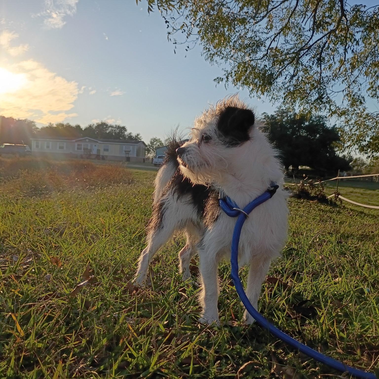 Snowden Warning: Cuteness Overload thumbnail 6