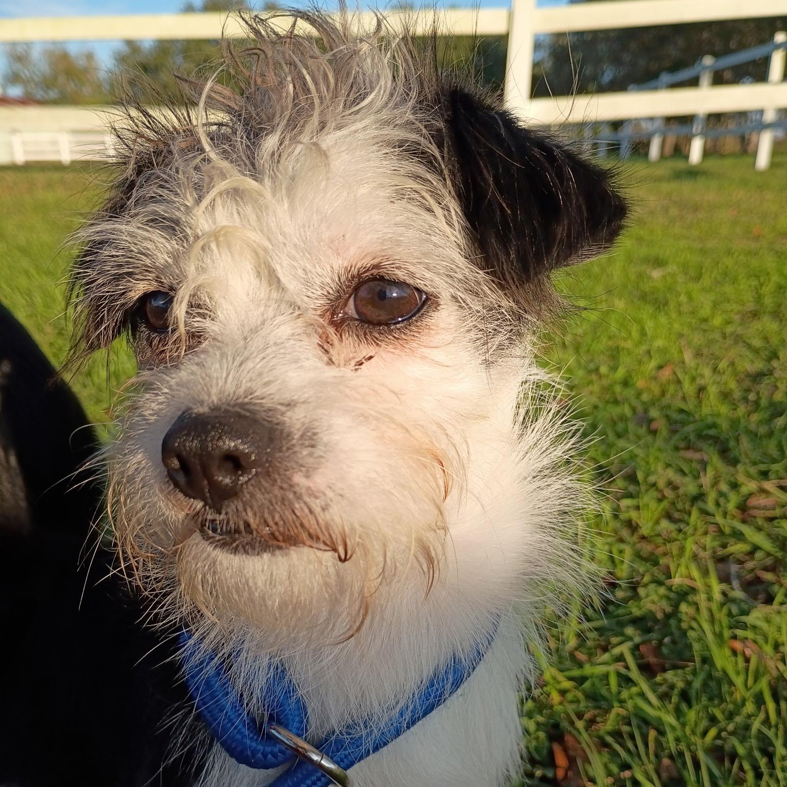 Snowden Warning: Cuteness Overload thumbnail 7