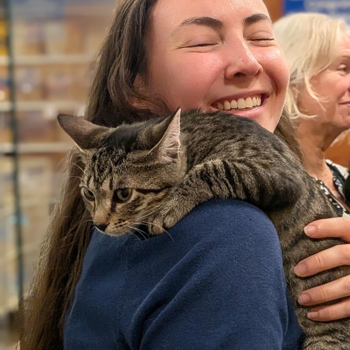 Enlarge August, a Adoptable Tabby in Wilmington, NC image 2/6