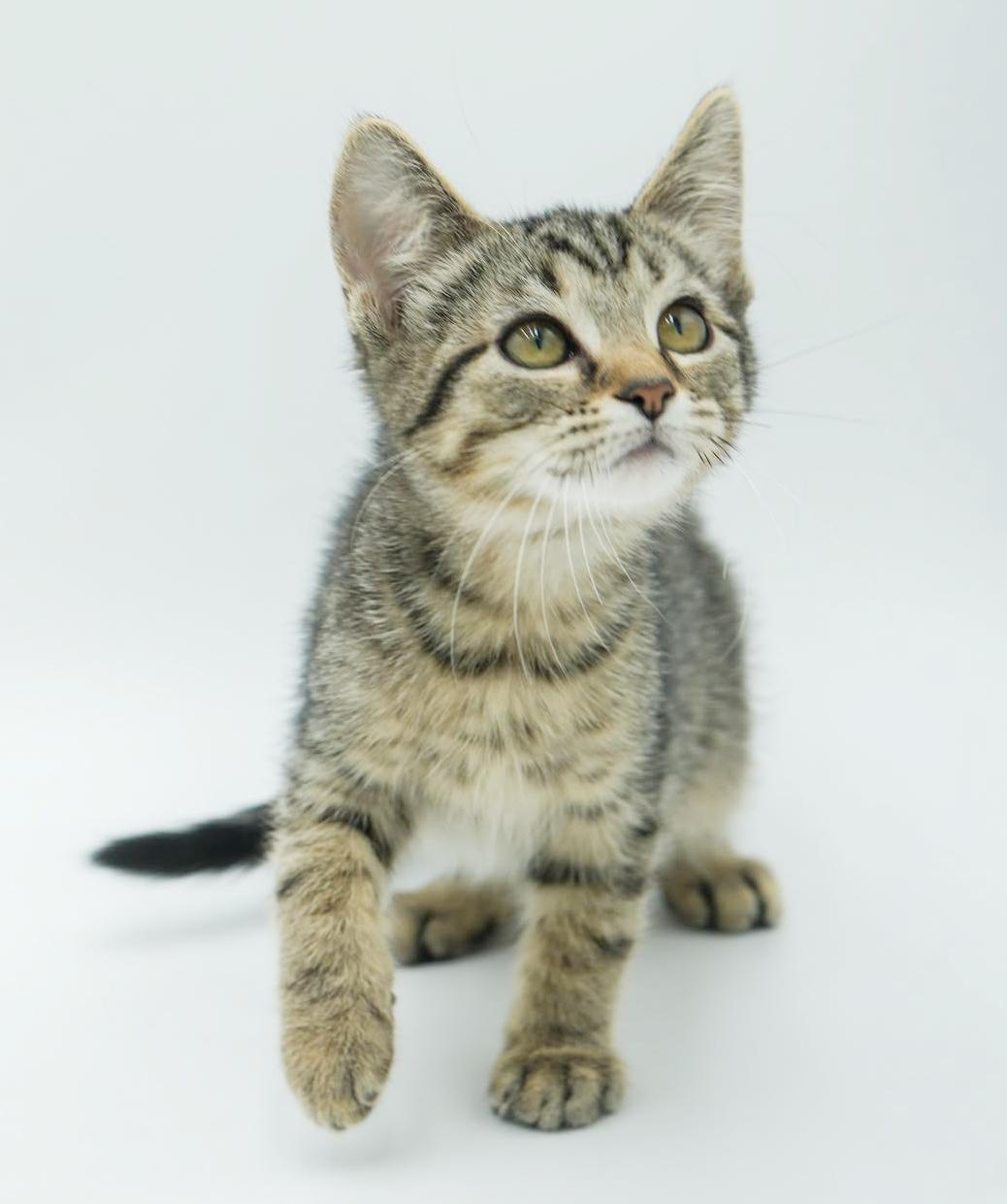 Harry is our polka dotted cute patootie!  TINY TOT!