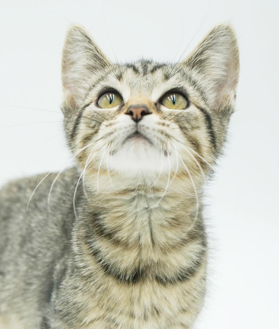 Harry is our polka dotted cute patootie!  TINY TOT!