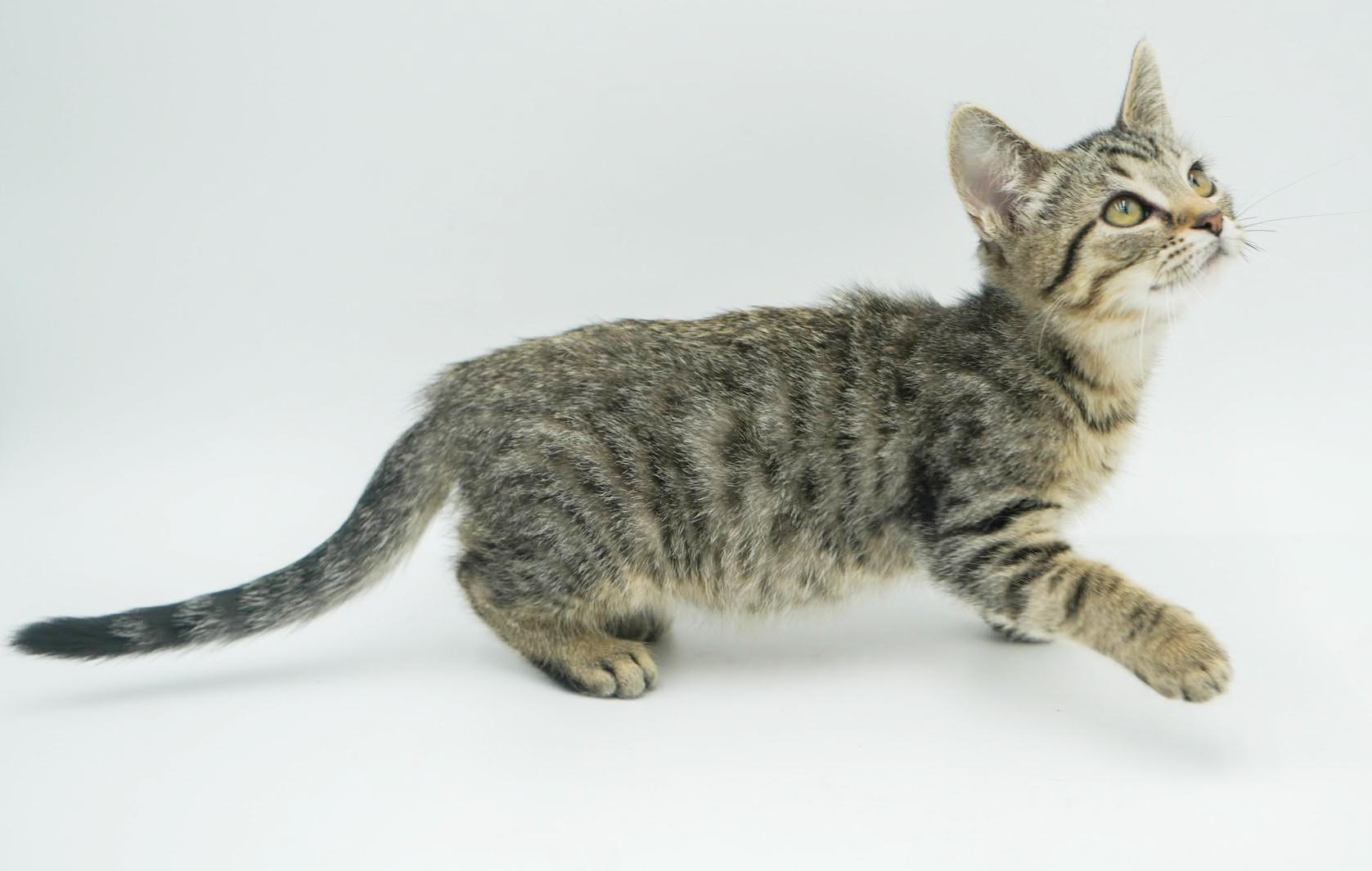 Harry is our polka dotted cute patootie!  TINY TOT!