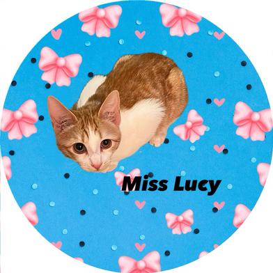 Lucy — thumbnail 5