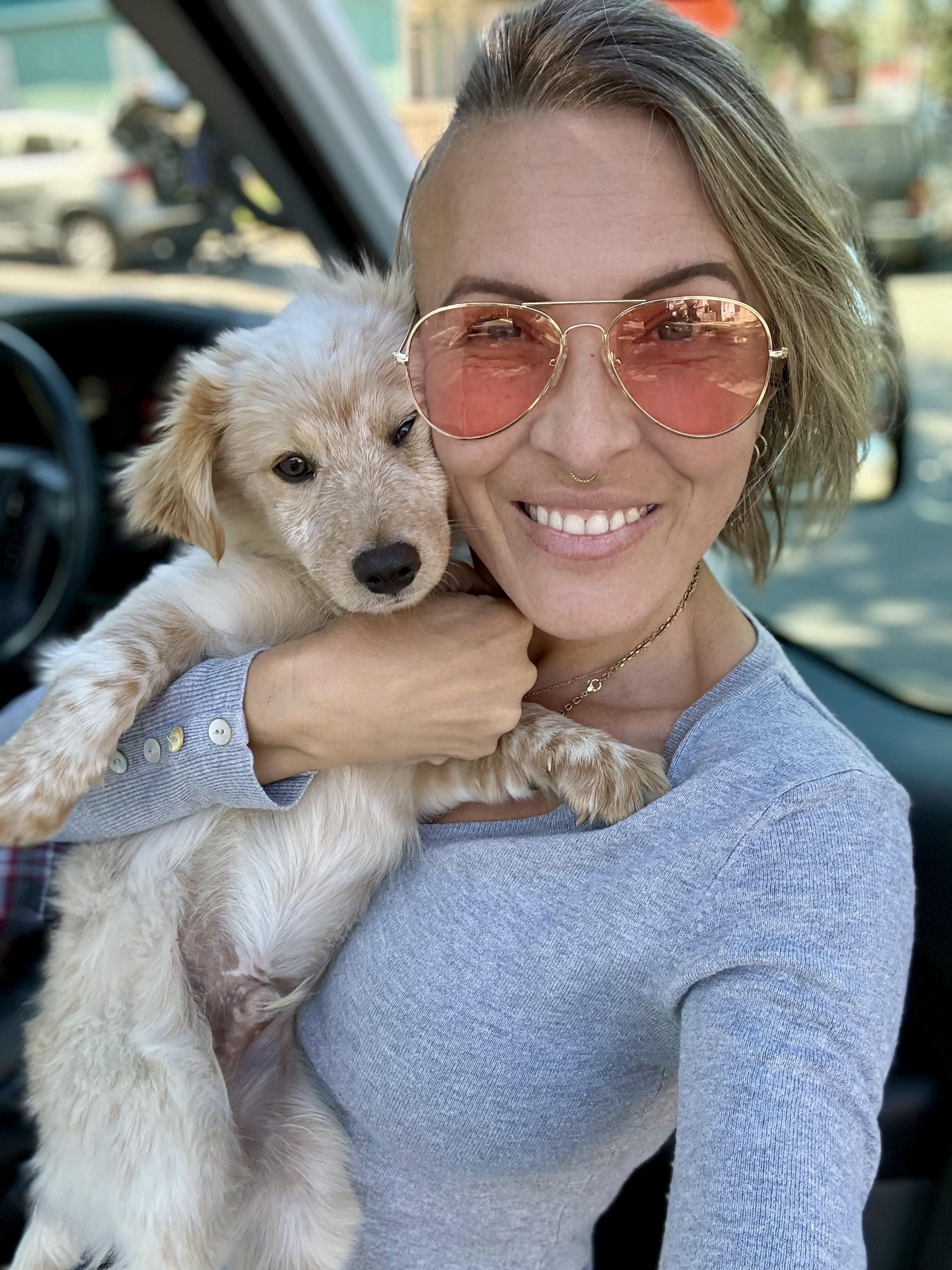 Enlarge Kintaro, an adopted Australian Shepherd in New Orleans, LA image 2/6