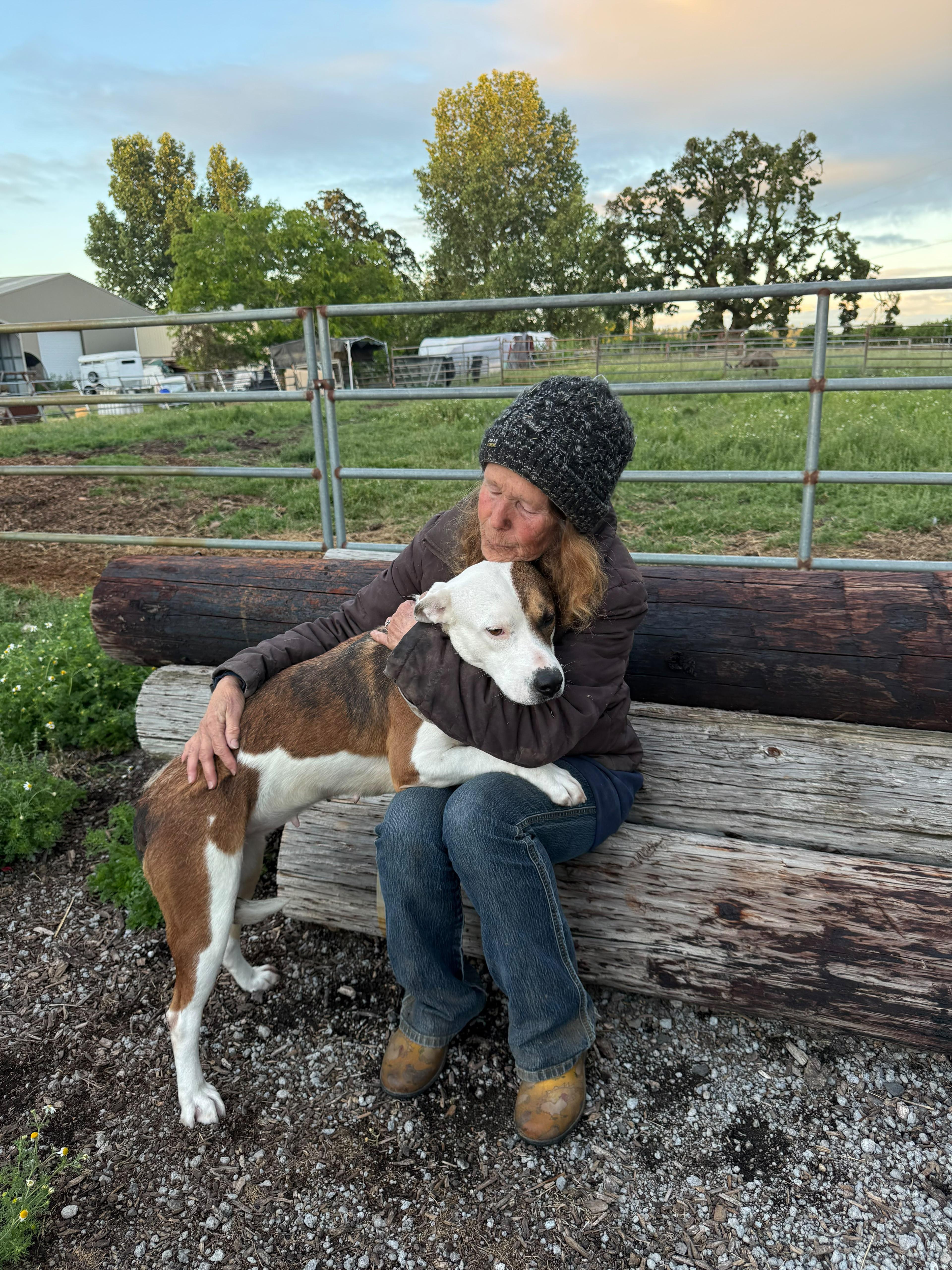 Enlarge Lois, a Adoptable mixed breed in Inglewood, CA image 2/5