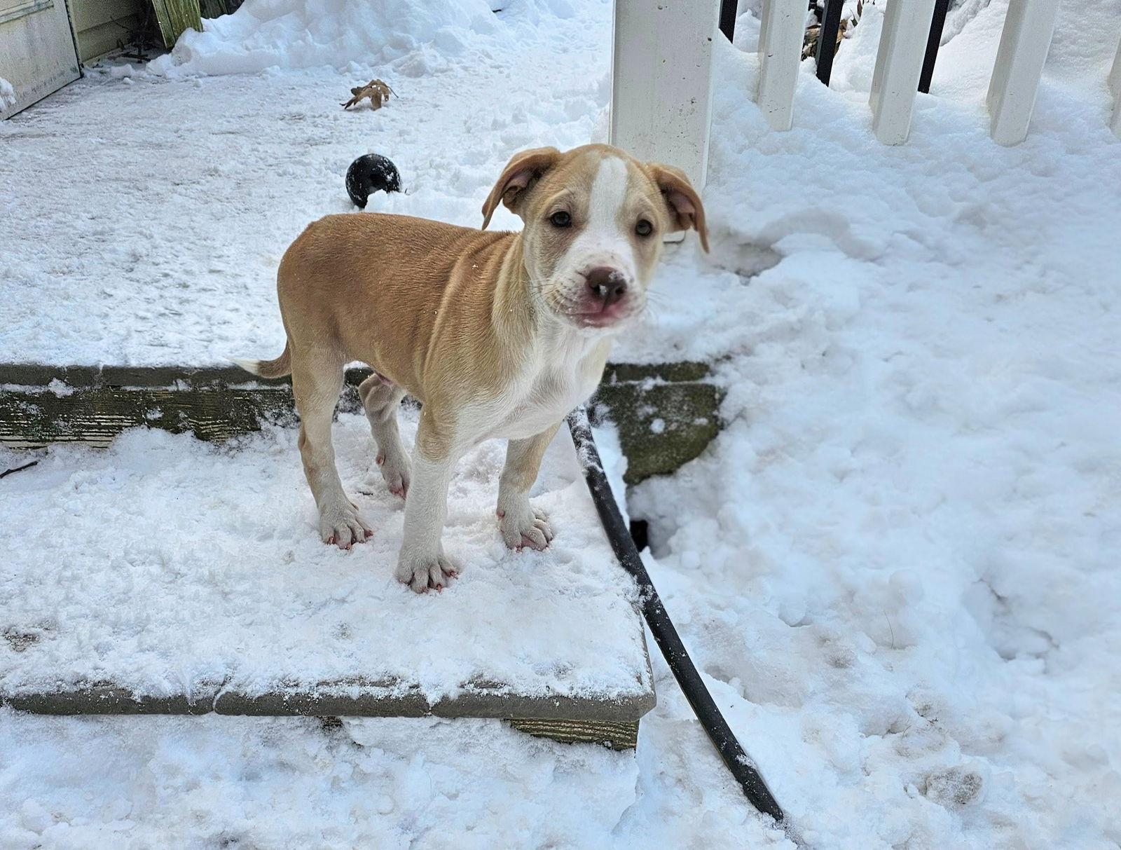 Manny Nj thumbnail 2