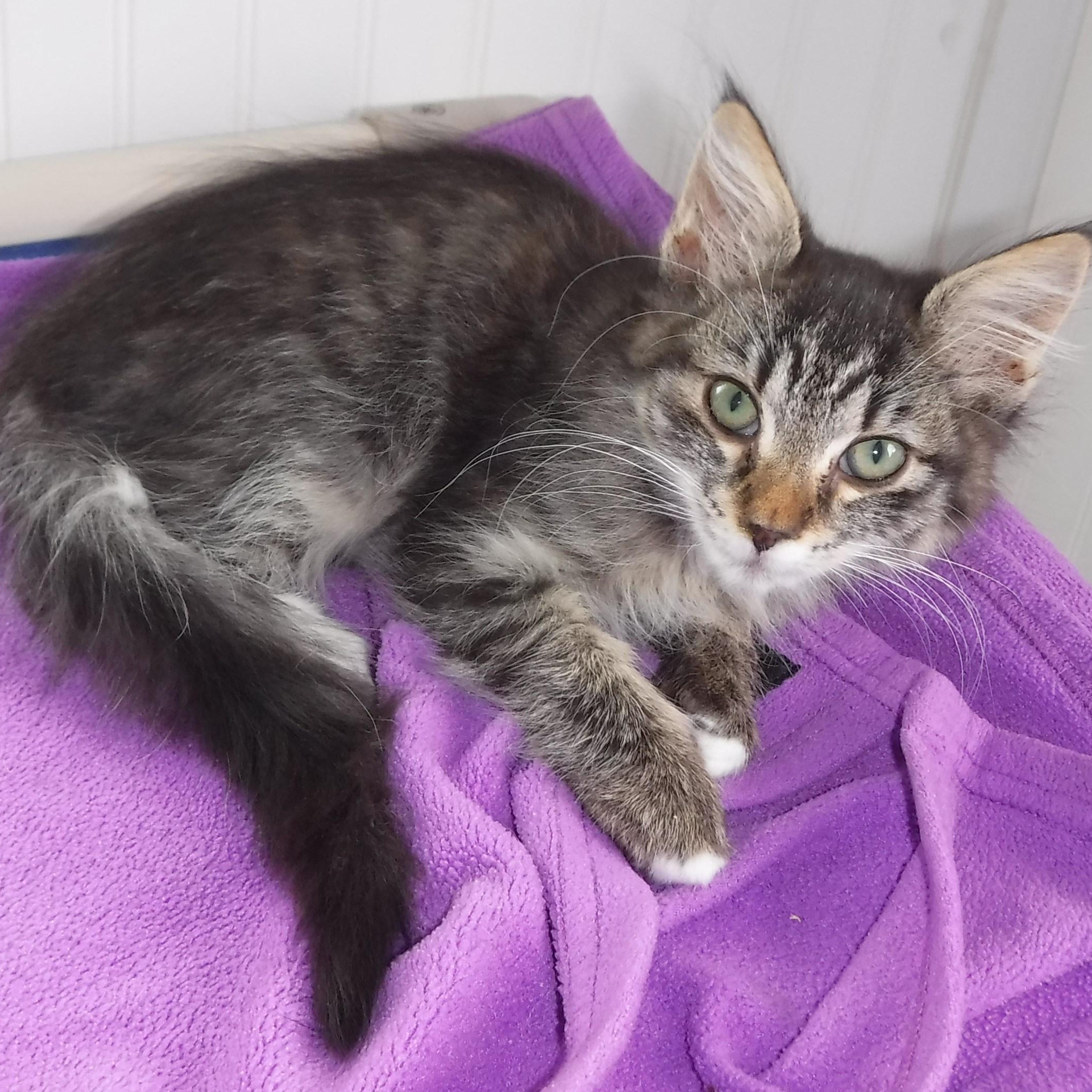 Marcia - Super Affectionate