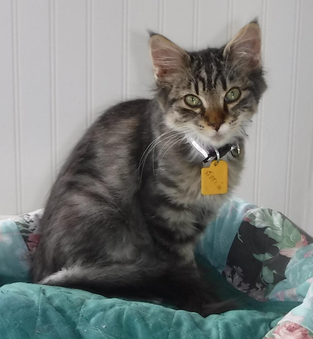 Marcia - Super Affectionate