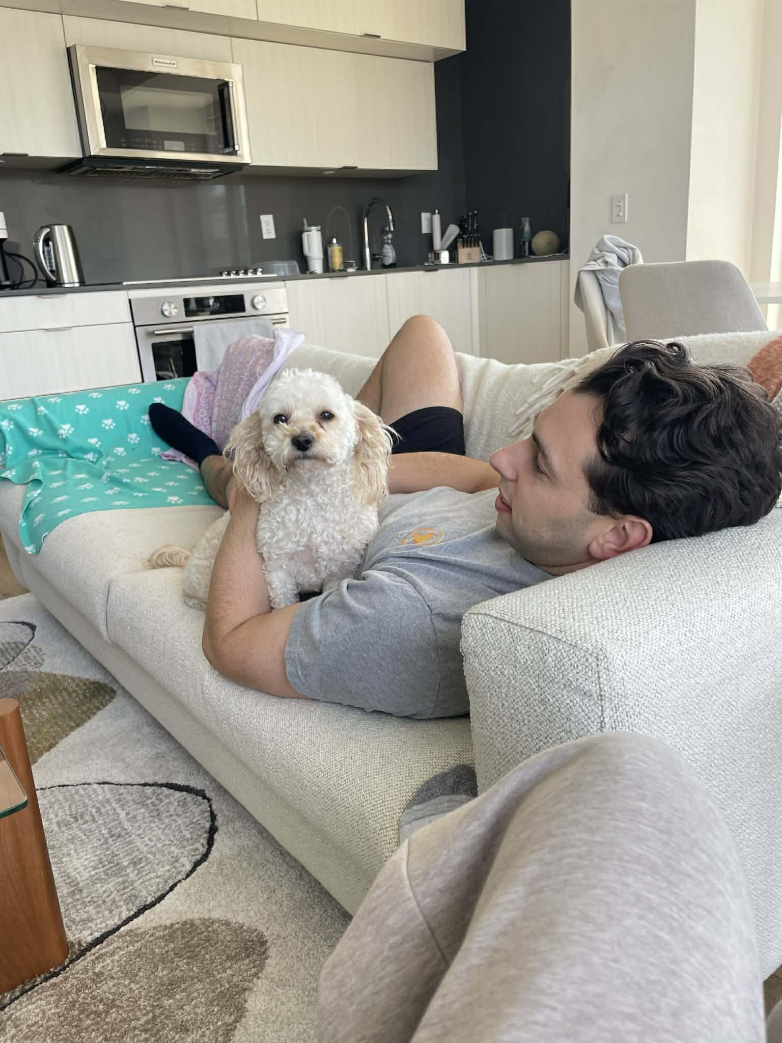 Enlarge BUNNY, a ADOPTABLE mixed breed in Richmond Hill , ON image 3/4