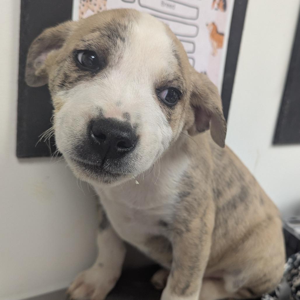 Suzanne — thumbnail 2