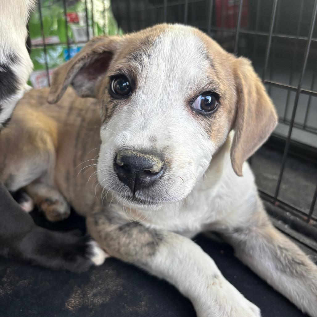 Suzanne — thumbnail 3