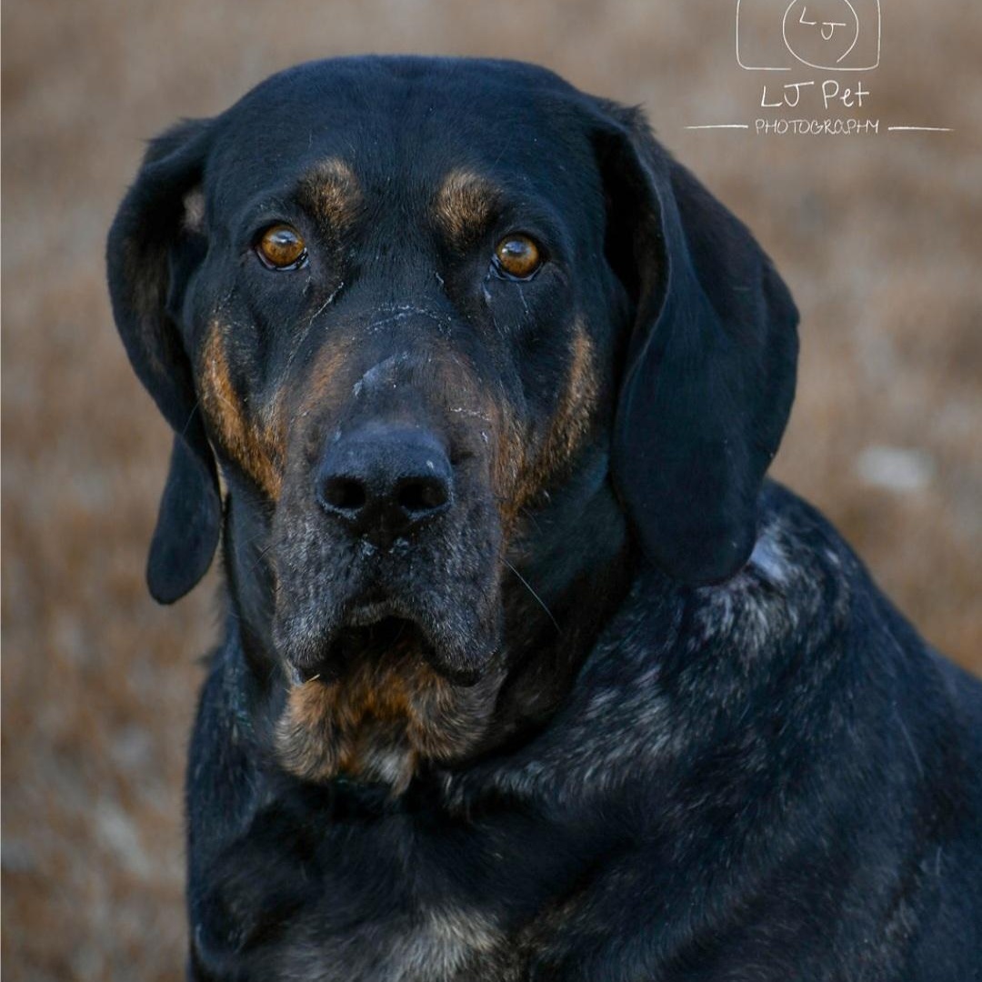 Annie photo 1