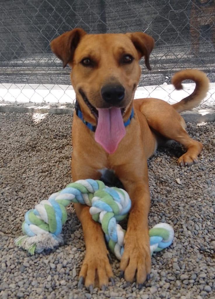 Tomas — thumbnail 2