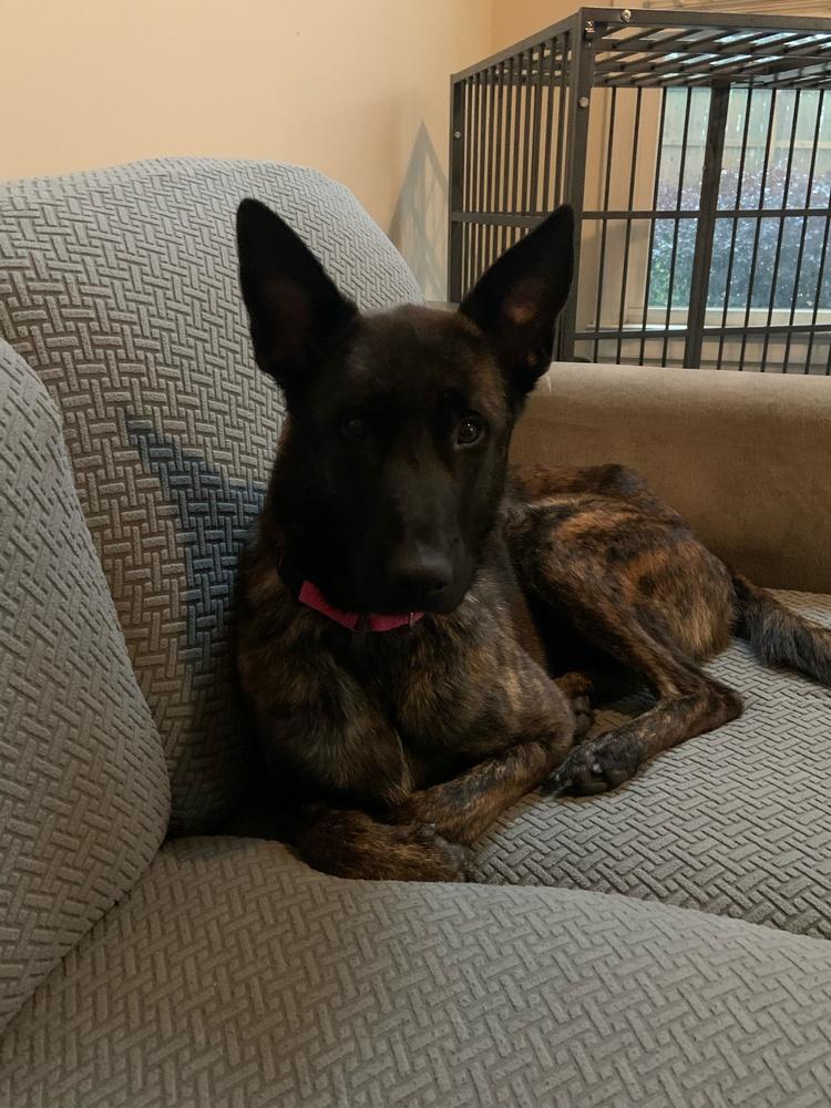 Ryka  Located In thumbnail 4