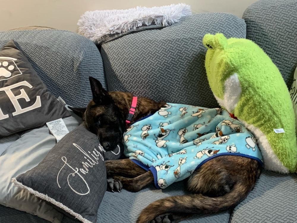 Ryka  Located In thumbnail 5