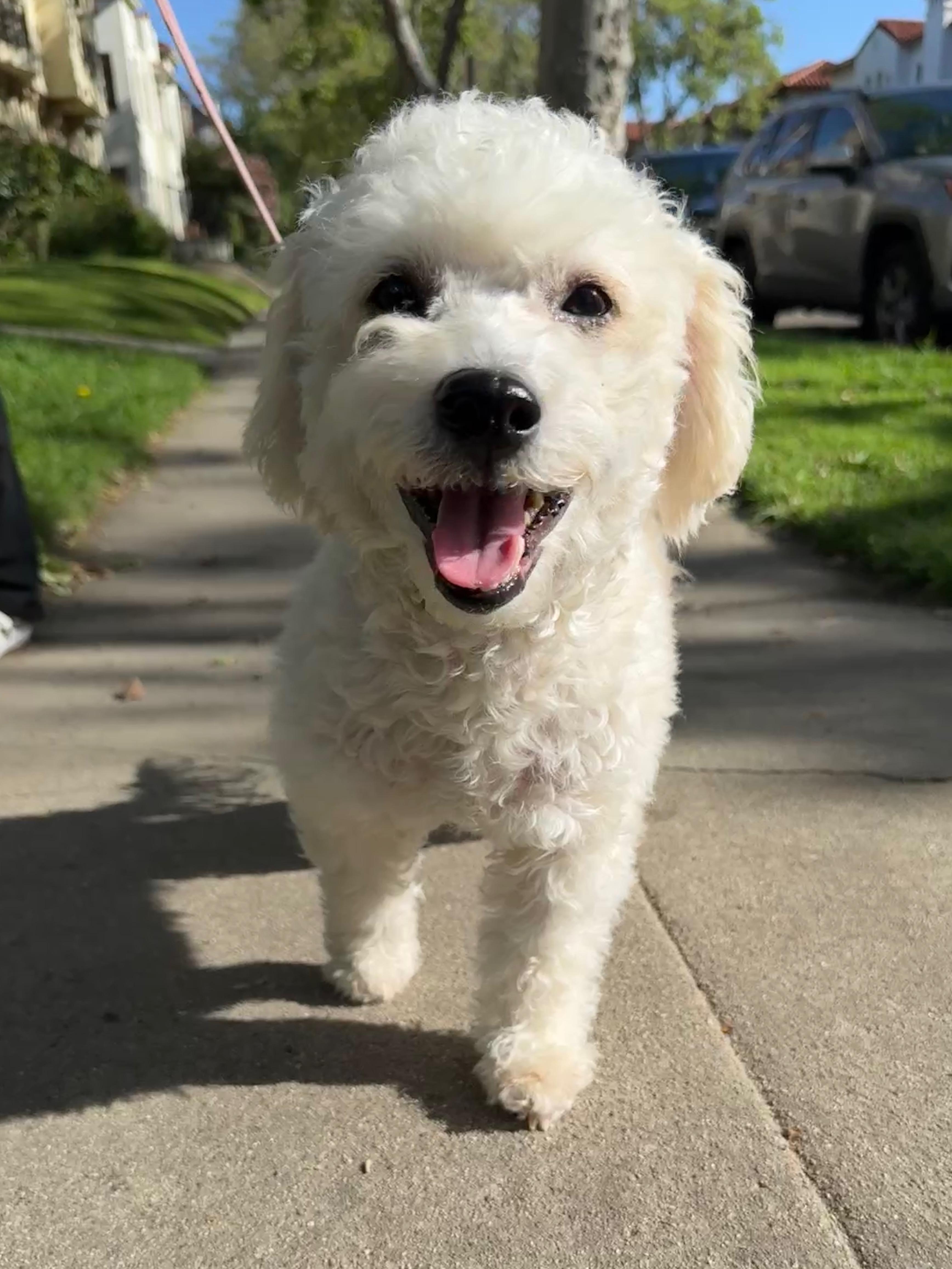 Molly