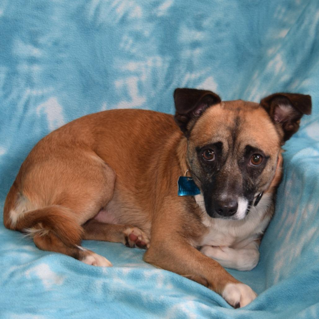 Rocko photo