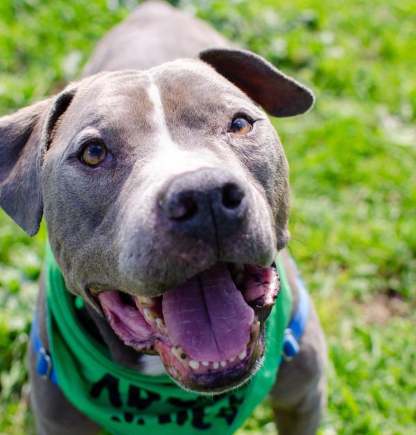 Philly — thumbnail 3