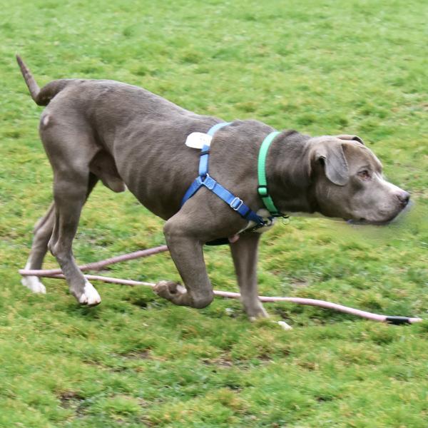 Philly — thumbnail 4