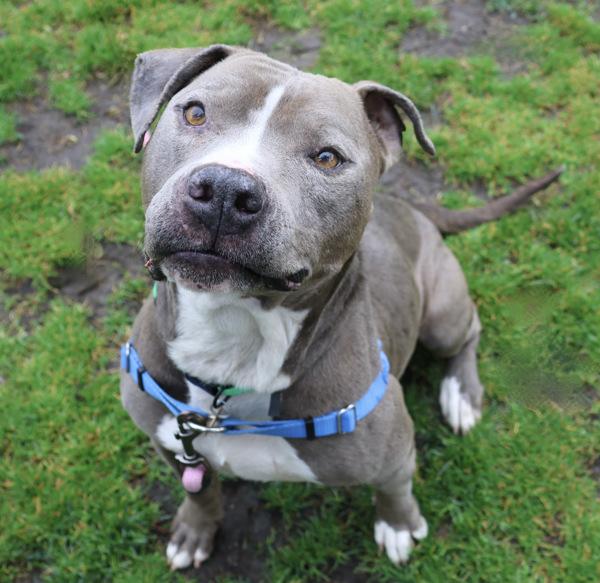 Philly — thumbnail 5