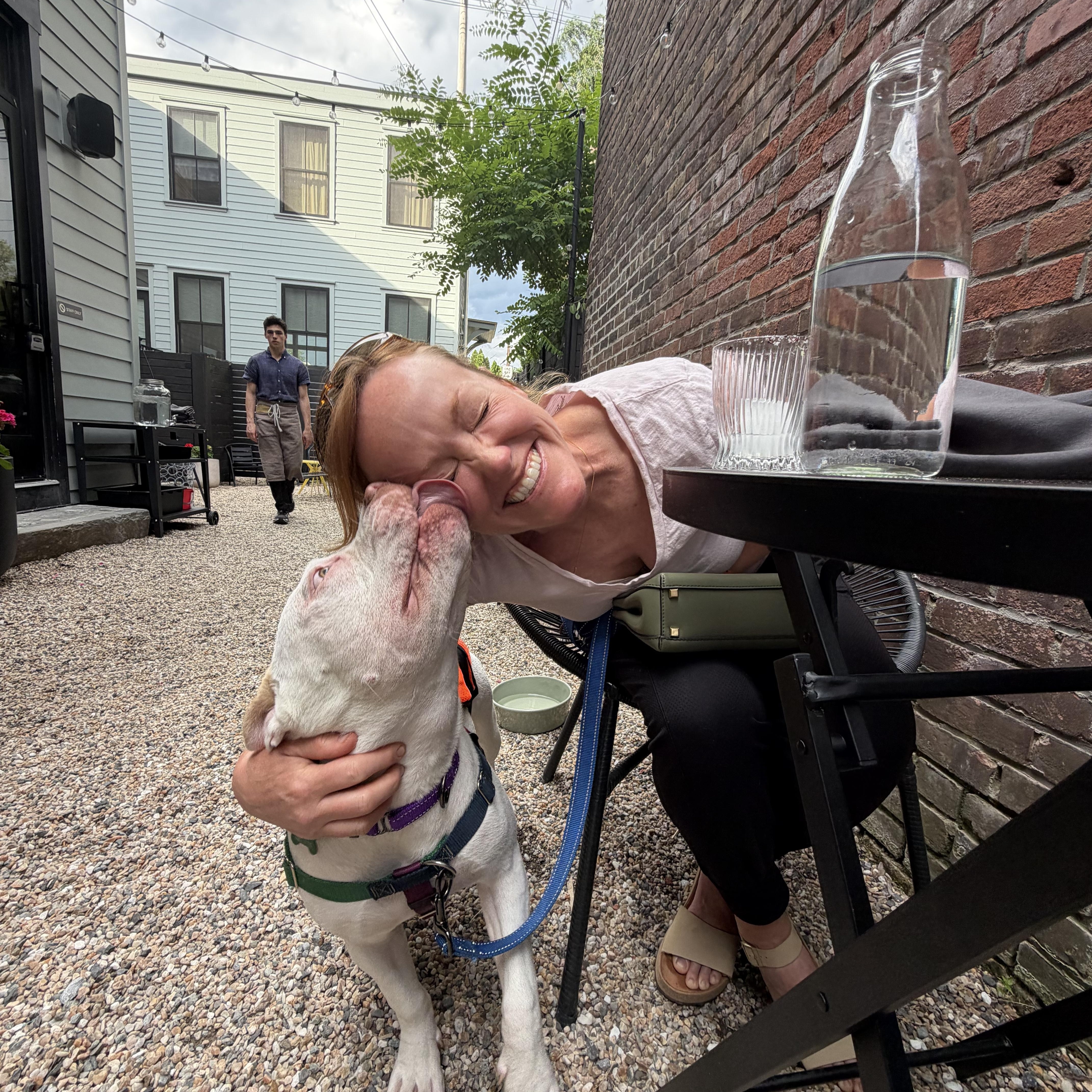 A Sweet Petite Treat, Tyson, a Adoptable mixed breed in New York, NY image 3/6