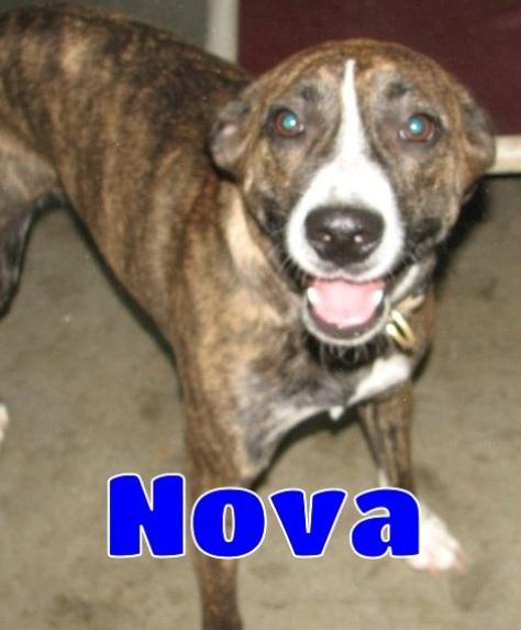 #3780 Nova
