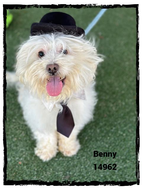 BENNY