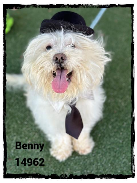BENNY