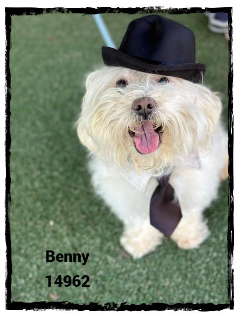 BENNY