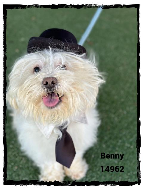 BENNY