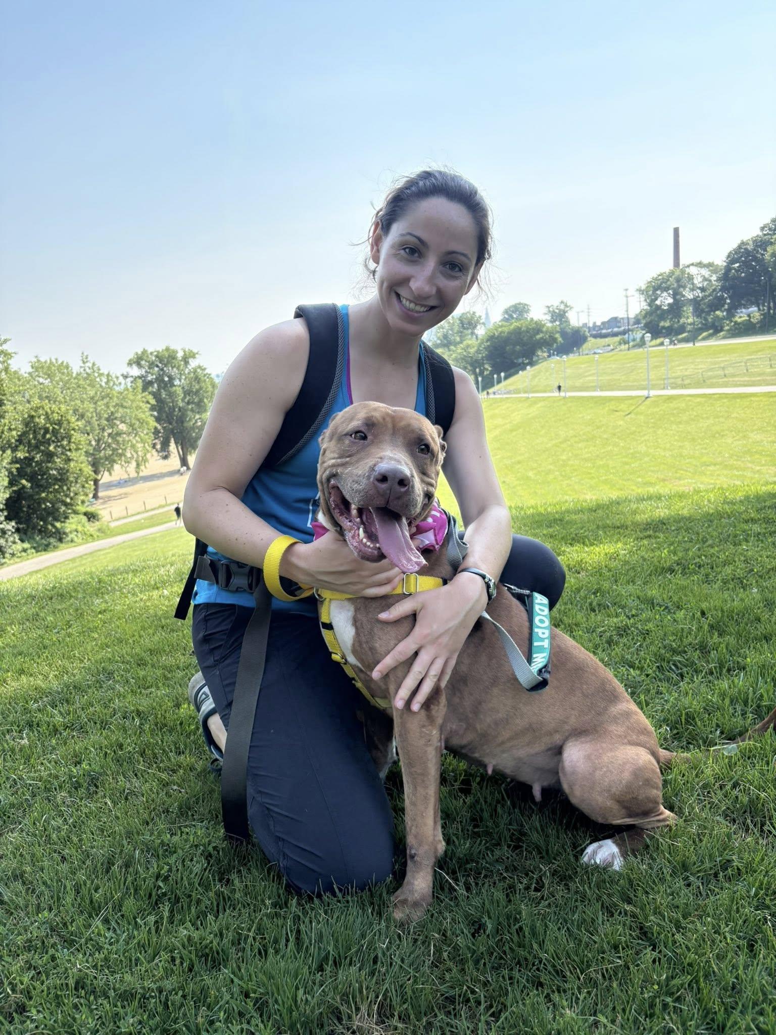 Skyla, a Adoptable mixed breed in Cleveland, OH image 5/6