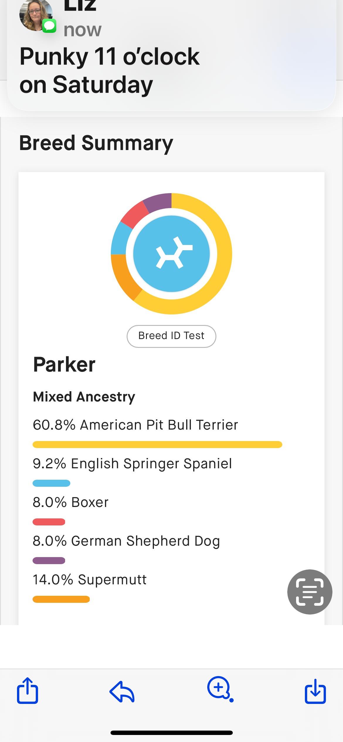 Pepper, a Adoptable mixed breed in Kannapolis, NC image 5/5
