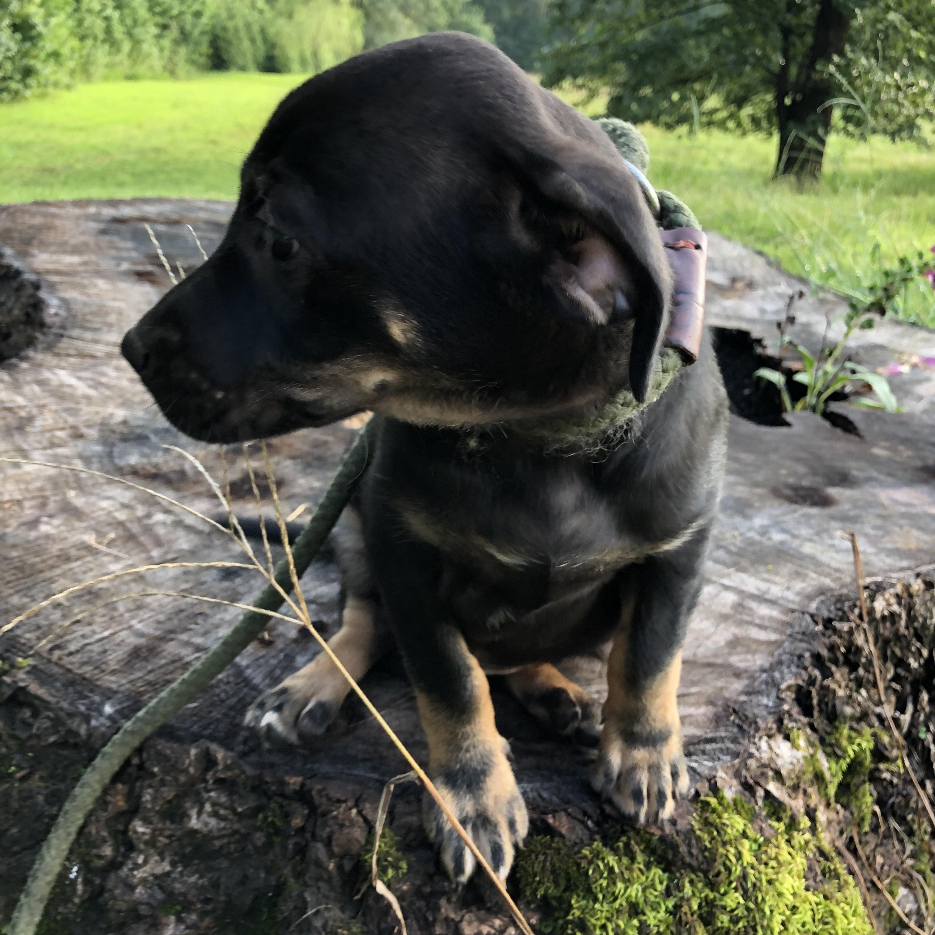 Tucker