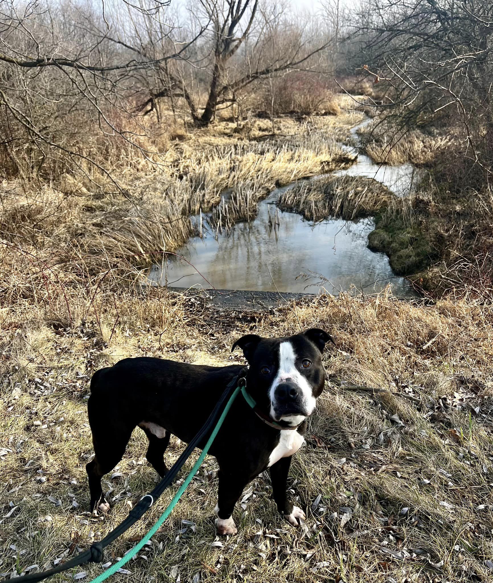 BB AKA Rocky (20211102-06)