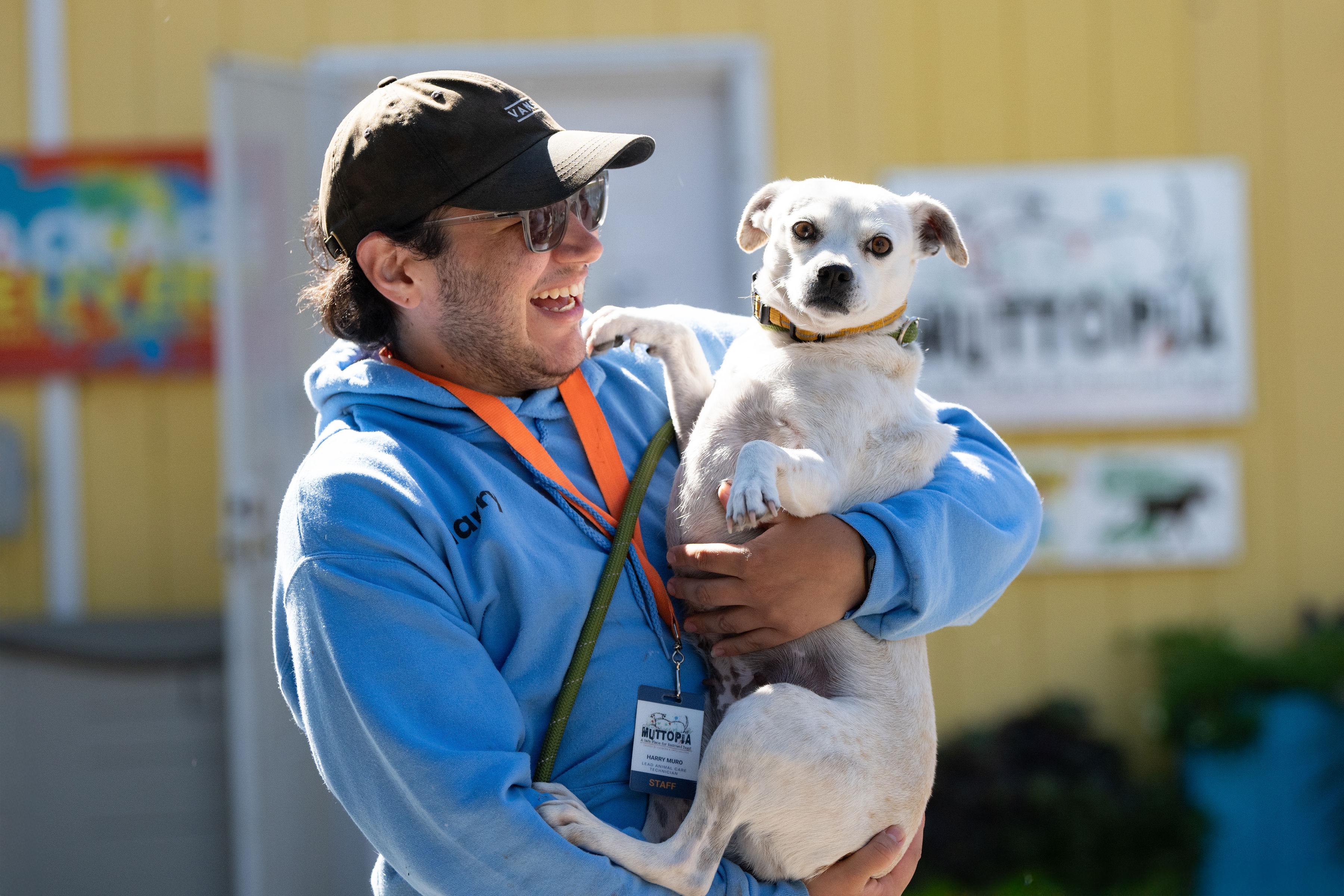 Enlarge Aranza, a ADOPTABLE mixed breed in Santa Rosa, CA image 2/6