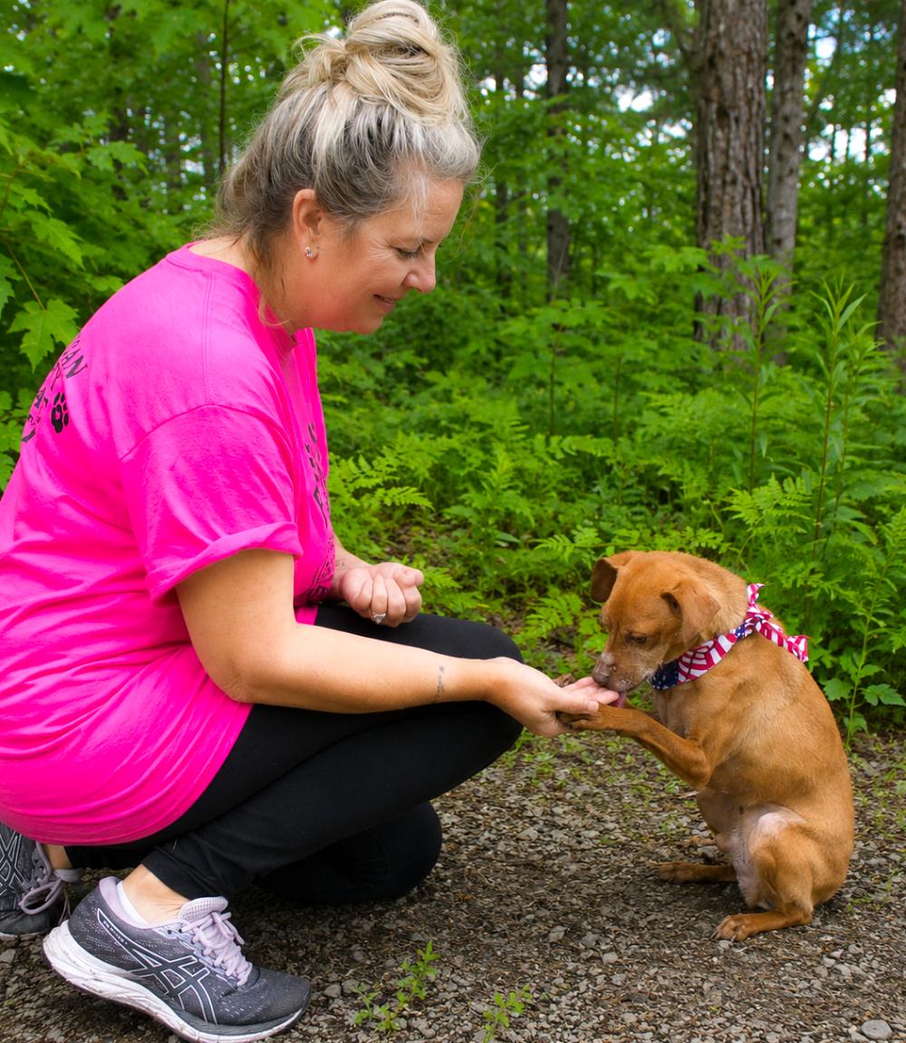 Jay, a ADOPTABLE Miniature Pinscher in Cheboygan, MI image 5/6