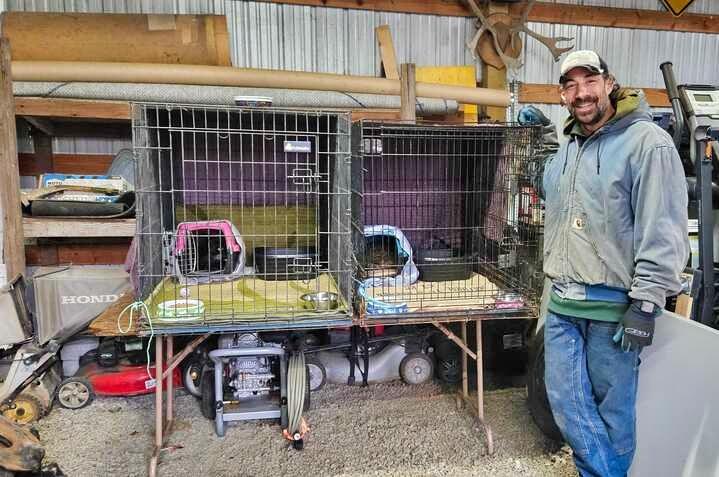Barn Cats photo 2