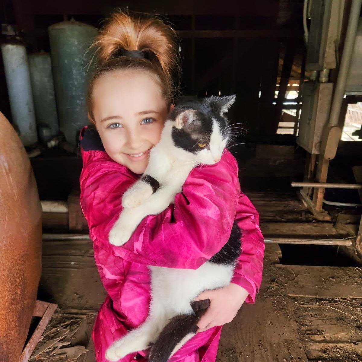 Barn Cats photo 4