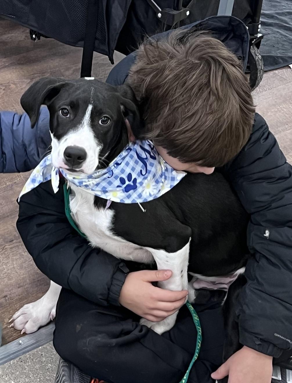Enlarge Frosty, a ADOPTABLE mixed breed in Cedarburg, WI image 5/5