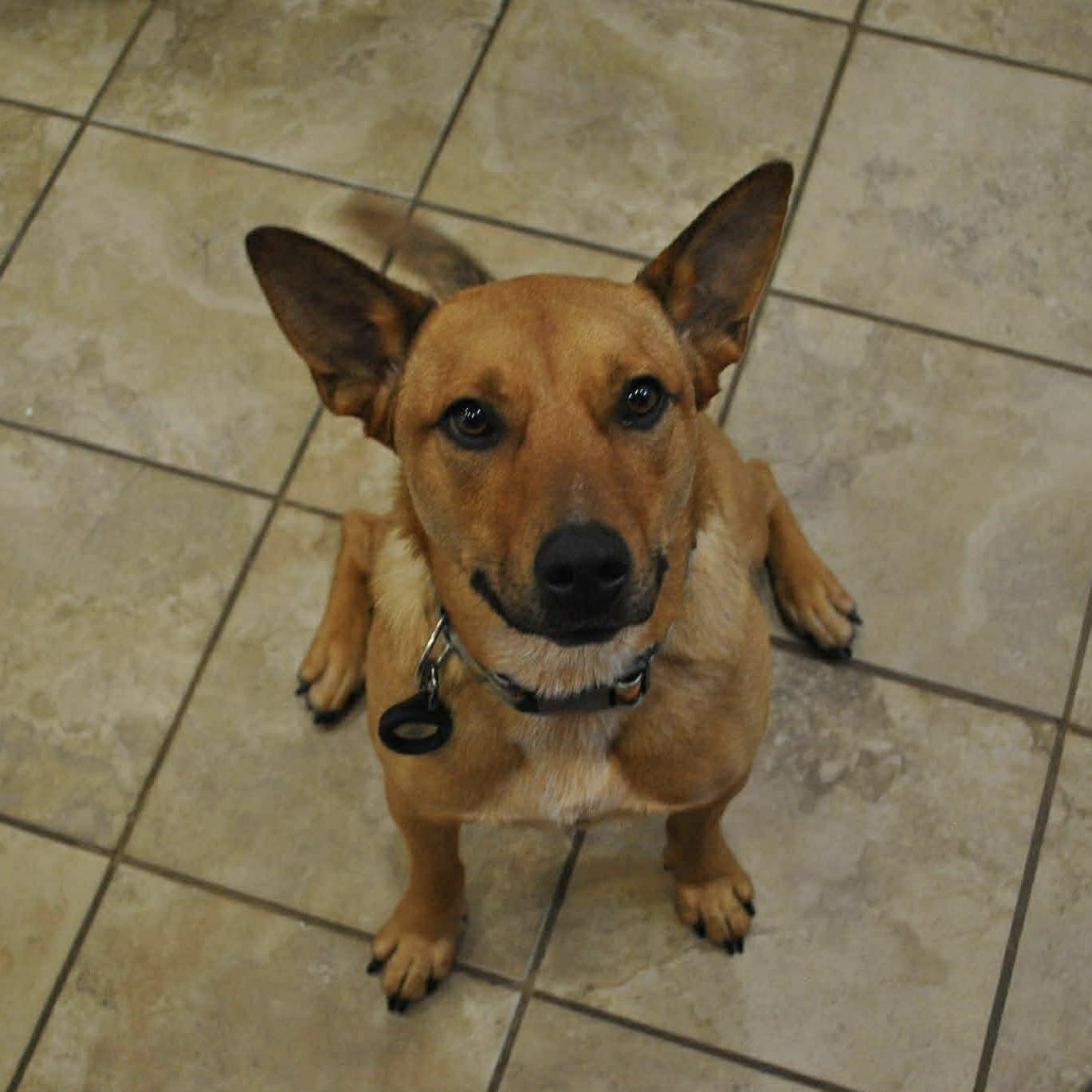 Mister Rocky (20241120-04) — thumbnail 3