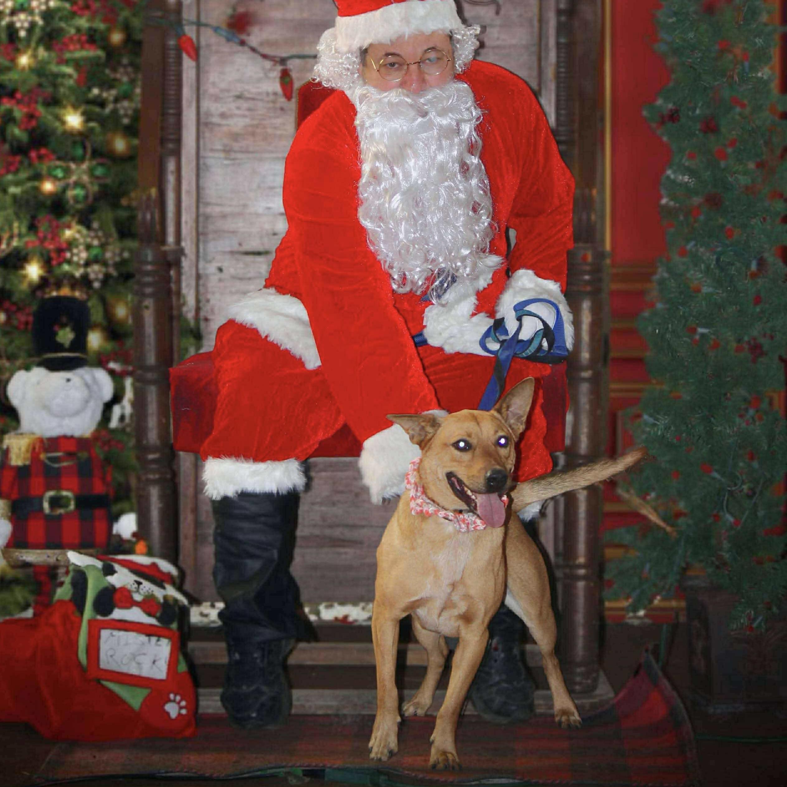 Mister Rocky (20241120-04) — thumbnail 6