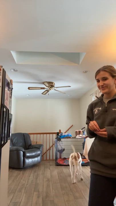 Enlarge Clark, a ADOPTABLE mixed breed in Ellicott City, MD video 4/6