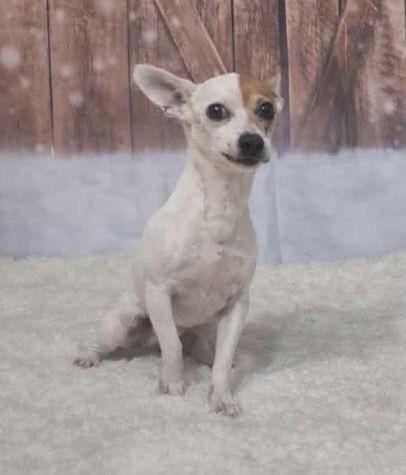 Randy DD~ — thumbnail 2