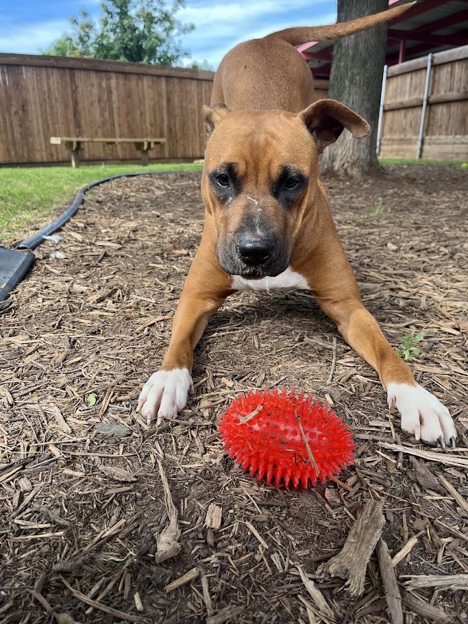 Maggie* A210417 photo 2