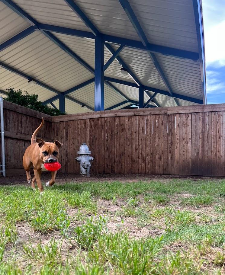 Maggie* A210417 photo 3