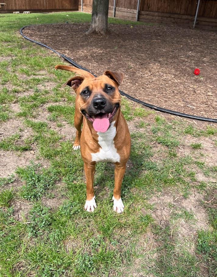 Maggie* A210417 photo 5