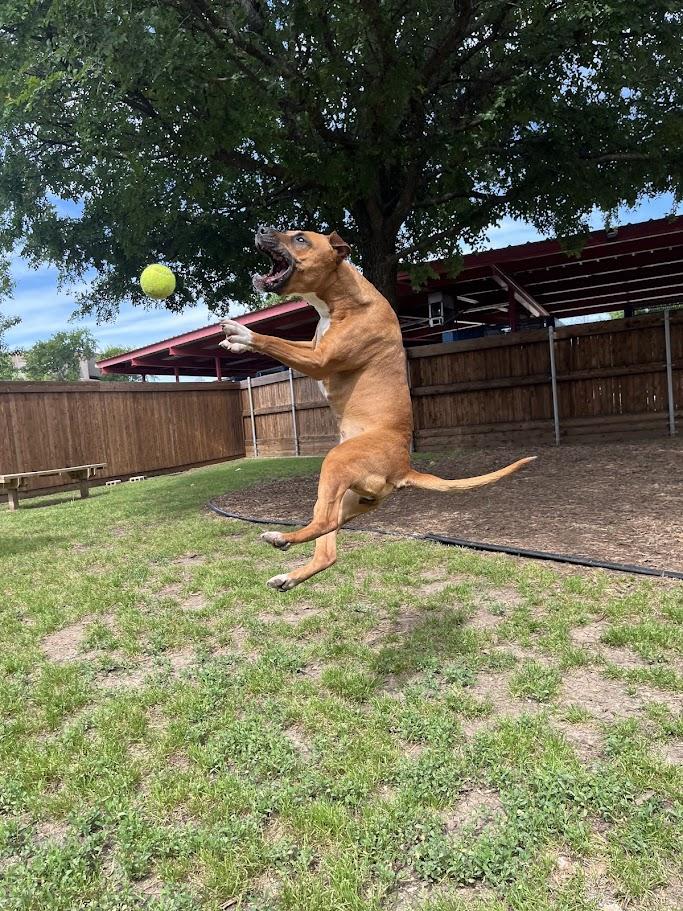 Maggie* A210417 photo 6