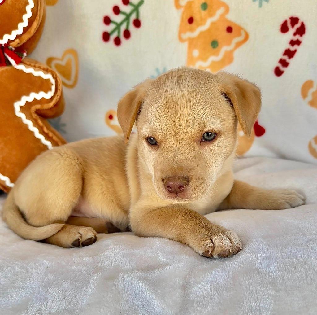 December Gentry thumbnail 2