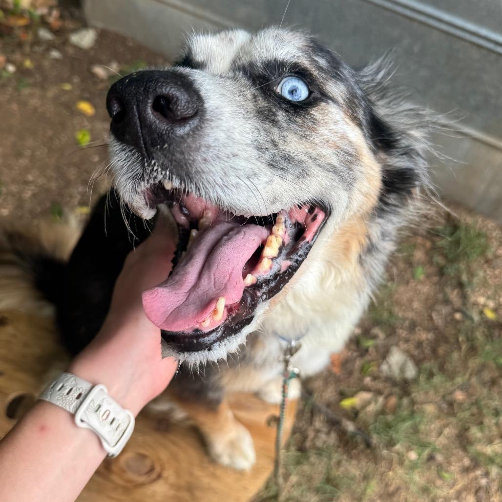 Fondue Platter — thumbnail 2